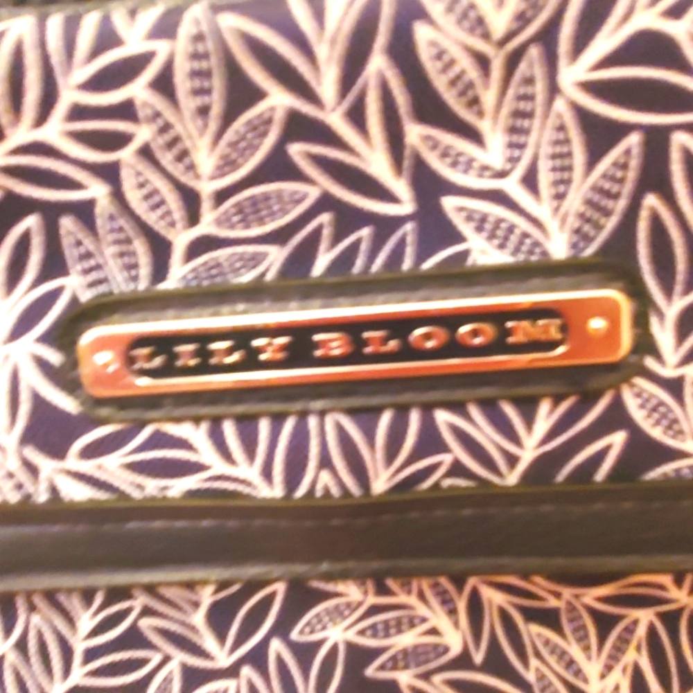 Lily Bloom purse crossbody